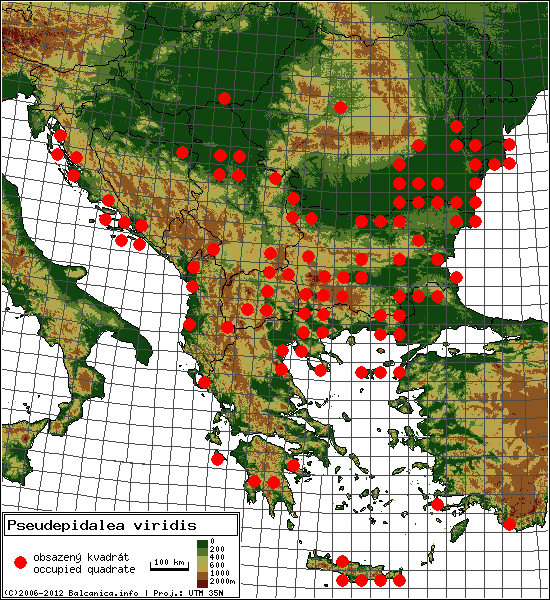 Pseudepidalea viridis - mapa všech obsazených kvadrátů, UTM 50x50 km