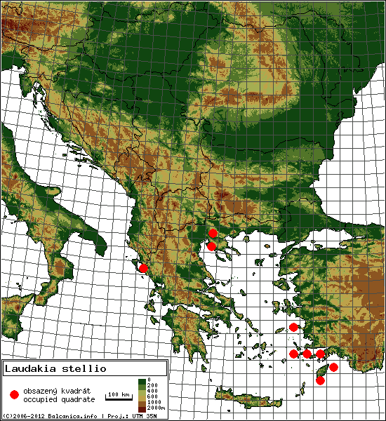 Laudakia stellio - mapa všech obsazených kvadrátů, UTM 50x50 km