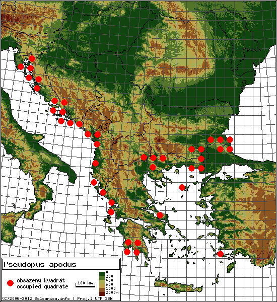 Pseudopus apodus - mapa všech obsazených kvadrátů, UTM 50x50 km
