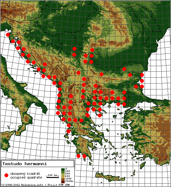 Testudo hermanni - mapa všech obsazených kvadrátů, UTM 50x50 km
