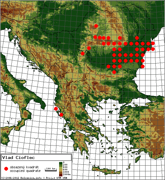 Vlad Cioflec - mapa všech obsazených kvadrátů, UTM 50x50 km