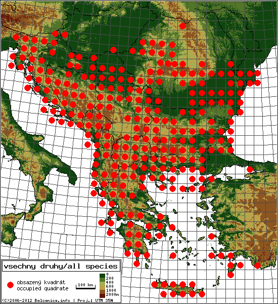 mapa všech obsazených kvadrátů, UTM 50x50 km