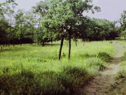 Babadag