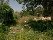 Gialova