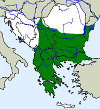 rozšíření krátkonožky evropské na Balkáně (zeleně)