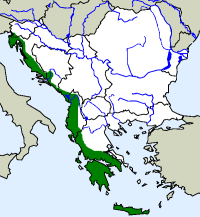 rozšíření štíhlovky balkánské Hierophis gemonensis  na Balkáně (zeleně)