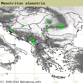 Mesotriton alpestris, obsazené kvadráty podle mapování Balcanica.info
