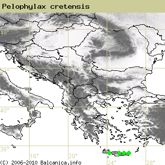 Pelophylax cretensis, obsazené kvadráty podle mapování Balcanica.info