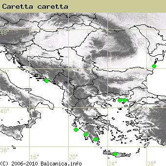 Caretta caretta, obsazené kvadráty podle mapování Balcanica.info