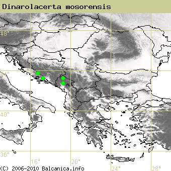 Dinarolacerta mosorensis, obsazené kvadráty podle mapování Balcanica.info