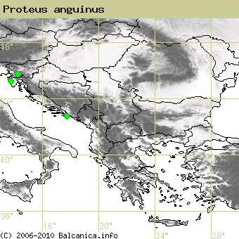 Proteus anguinus, occupied quadrates according to mapping of Balcanica.info