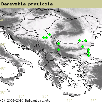 Darevskia praticola, obsazené kvadráty podle mapování Balcanica.info