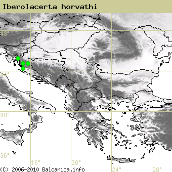 Iberolacerta horvathi, obsazené kvadráty podle mapování Balcanica.info