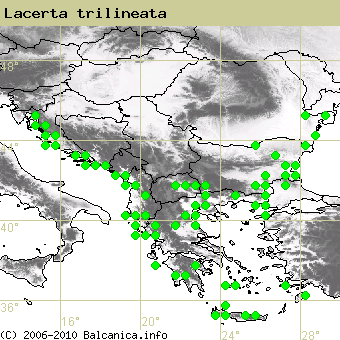 Lacerta trilineata, obsazené kvadráty podle mapování Balcanica.info