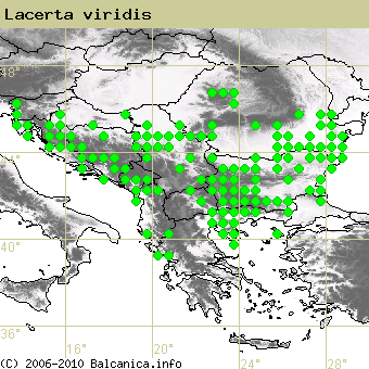 Lacerta viridis, occupied quadrates according to mapping of Balcanica.info