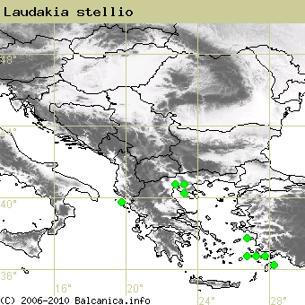 Laudakia stellio, obsazené kvadráty podle mapování Balcanica.info