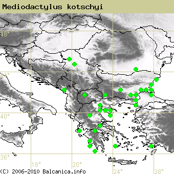Mediodactylus kotschyi, obsazené kvadráty podle mapování Balcanica.info