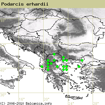 Podarcis erhardii, obsazené kvadráty podle mapování Balcanica.info
