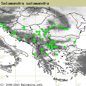 Salamandra salamandra, obsazené kvadráty podle mapování Balcanica.info