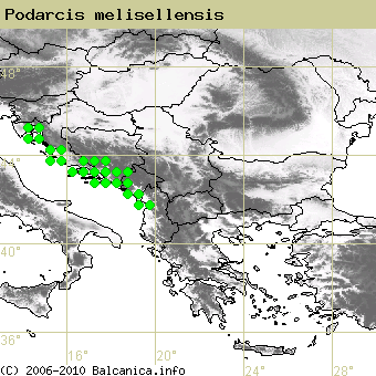 Podarcis melisellensis, obsazené kvadráty podle mapování Balcanica.info