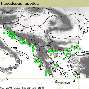 Pseudopus apodus, obsazené kvadráty podle mapování Balcanica.info