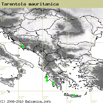 Tarentola mauritanica, obsazené kvadráty podle mapování Balcanica.info