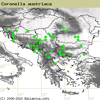 Coronella austriaca, obsazené kvadráty podle mapování Balcanica.info