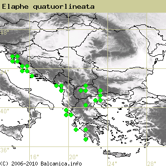 Elaphe quatuorlineata, occupied quadrates according to mapping of Balcanica.info