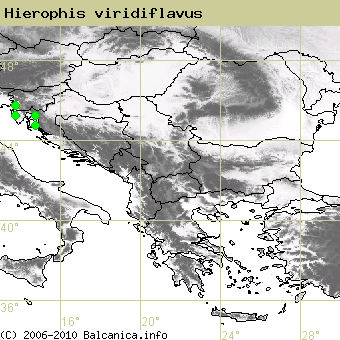 Hierophis viridiflavus, occupied quadrates according to mapping of Balcanica.info