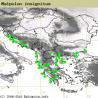 Malpolon insignitus, obsazené kvadráty podle mapování Balcanica.info
