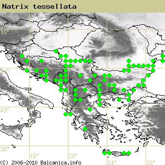 Natrix tessellata, occupied quadrates according to mapping of Balcanica.info