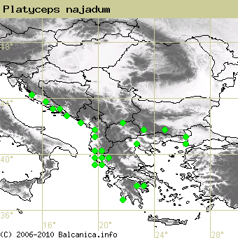 Platyceps najadum, obsazené kvadráty podle mapování Balcanica.info