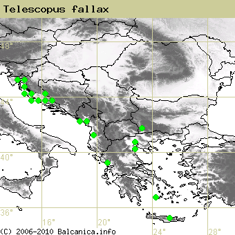 Telescopus fallax, occupied quadrates according to mapping of Balcanica.info