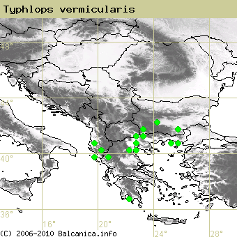 Typhlops vermicularis, obsazené kvadráty podle mapování Balcanica.info