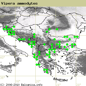 Vipera ammodytes, occupied quadrates according to mapping of Balcanica.info