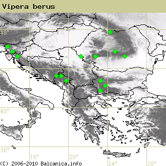 Vipera berus, occupied quadrates according to mapping of Balcanica.info