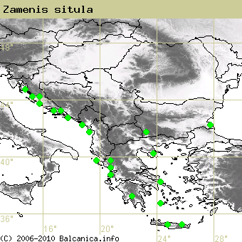 Zamenis situla, occupied quadrates according to mapping of Balcanica.info