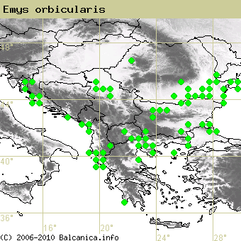 Emys orbicularis, occupied quadrates according to mapping of Balcanica.info