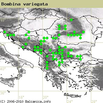 Bombina variegata, obsazené kvadráty podle mapování Balcanica.info