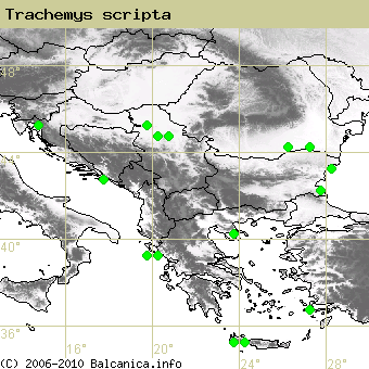 Trachemys scripta, occupied quadrates according to mapping of Balcanica.info