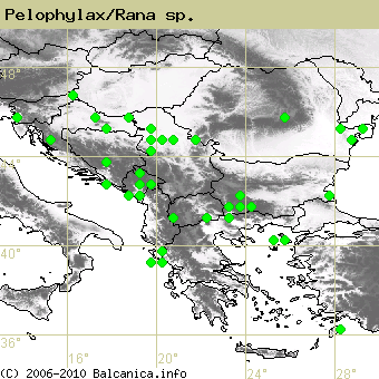 Pelophylax/Rana sp., obsazené kvadráty podle mapování Balcanica.info