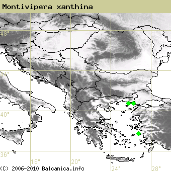 Montivipera xanthina, obsazené kvadráty podle mapování Balcanica.info