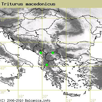 Triturus macedonicus, occupied quadrates according to mapping of Balcanica.info