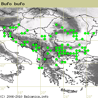 Bufo bufo, obsazené kvadráty podle mapování Balcanica.info