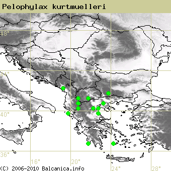 Pelophylax kurtmuelleri, occupied quadrates according to mapping of Balcanica.info