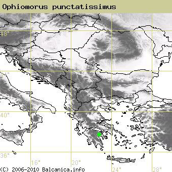 Ophiomorus punctatissimus, obsazené kvadráty podle mapování Balcanica.info