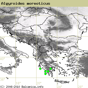Algyroides moreoticus, obsazené kvadráty podle mapování Balcanica.info
