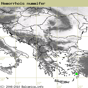 Hemorrhois nummifer, occupied quadrates according to mapping of Balcanica.info