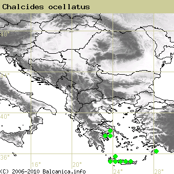 Chalcides ocellatus, obsazené kvadráty podle mapování Balcanica.info