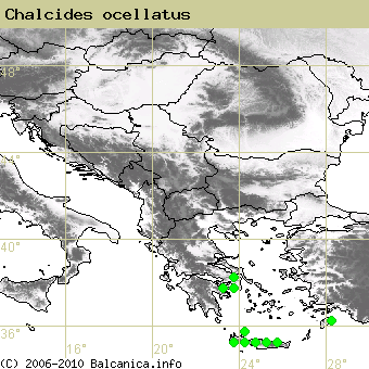 Chalcides ocellatus, occupied quadrates according to mapping of Balcanica.info
